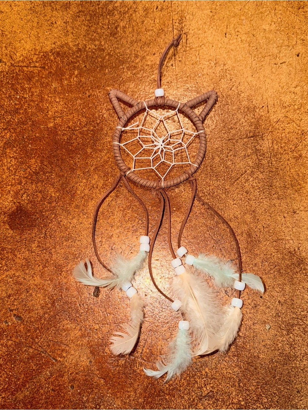 Cat head shaped Dreamcatcher Wall Hanging with Feathers